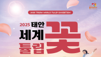꽃보다 축제! 4월에 놓치면 아쉬운 전국 봄 축제