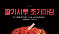 성심당 '딸기시루' 케이크, 곰팡이 논란에 판매 중단