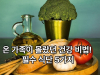 온 가족 건강 지키기, 미세먼지 환절기 대비 식단